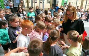 "Impresje puławskie" - otwarcie wystawy prac uczestnik&oacute;w lekcji galeryjnych (12 czerwca 2024) 27