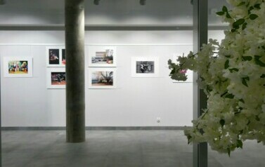 Wernisaż Biennale Fotografii Puławskiej (10 października 2024) 1