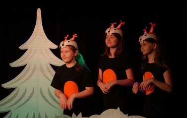 VI Teatralne Lato- pokaz finałowy &bdquo;Pracowite zwierzęta i swawolny konik polny&rdquo;