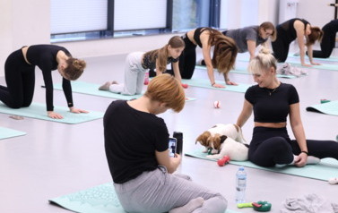 Mikołajkowa Puppy Yoga - Corgi i Jack Russell Terrier (7 grudnia 2025) 7