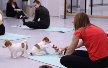 Mikołajkowa Puppy Yoga - Corgi i Jack Russell Terrier (7 grudnia 2025) 8