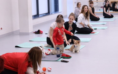 Mikołajkowa Puppy Yoga - Corgi i Jack Russell Terrier (7 grudnia 2025) 14