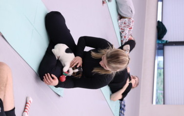 Mikołajkowa Puppy Yoga - Corgi i Jack Russell Terrier (7 grudnia 2025) 18