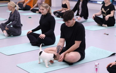 Mikołajkowa Puppy Yoga - Corgi i Jack Russell Terrier (7 grudnia 2025) 22