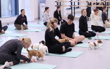 Mikołajkowa Puppy Yoga - Corgi i Jack Russell Terrier (7 grudnia 2025) 24