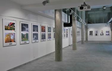Wernisaż prac grupy fotograficznej SpułaF - Puławy (nie)obiektyw(nie) 15
