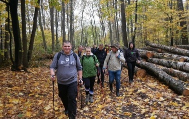 Leśny Spacer z Centrum Informacji Turystycznej (23 października 2022) 10