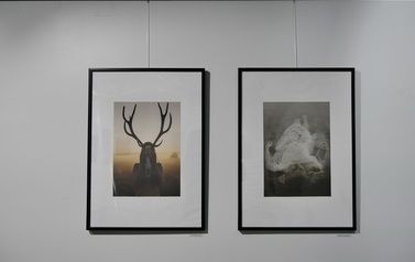 Wernisaż Biennale Fotografii Puławskiej 12