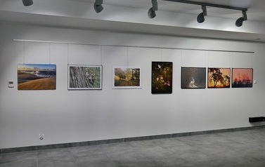 Wernisaż Biennale Fotografii Puławskiej 19
