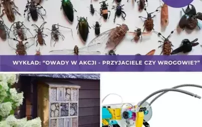 grafika z zaproszeniem na wykład i warsztaty UD