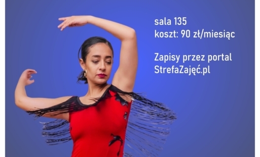 Zdjęcie do Formacja Taneczna Abakua - zapisy uzupełniające na zajęcia latino